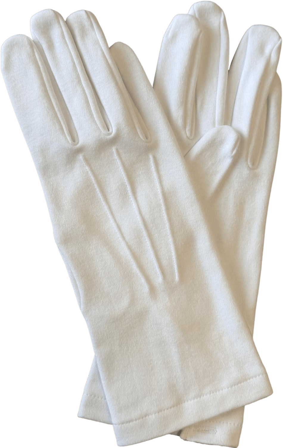 Witte Ceremoniële Handschoenen (katoen) - InDef